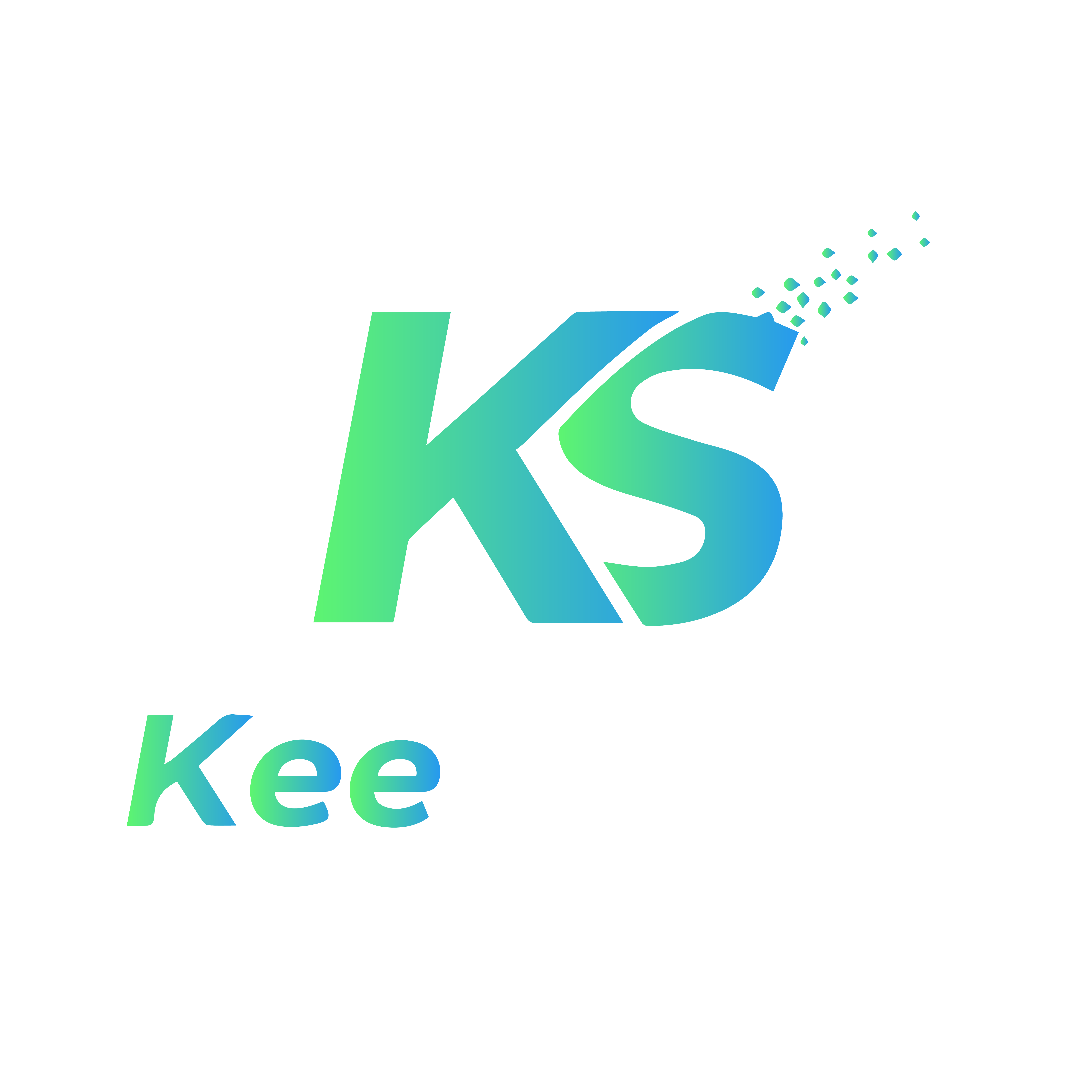 Keespark Logo